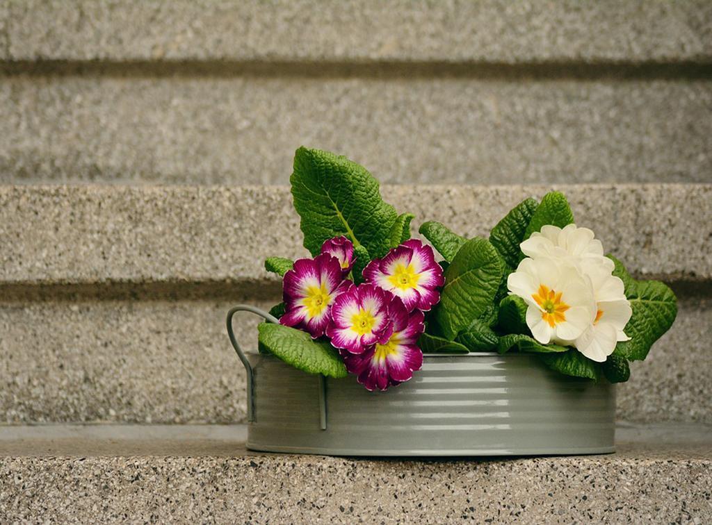 Lovely Home Marta Pozzuoli Exterior foto